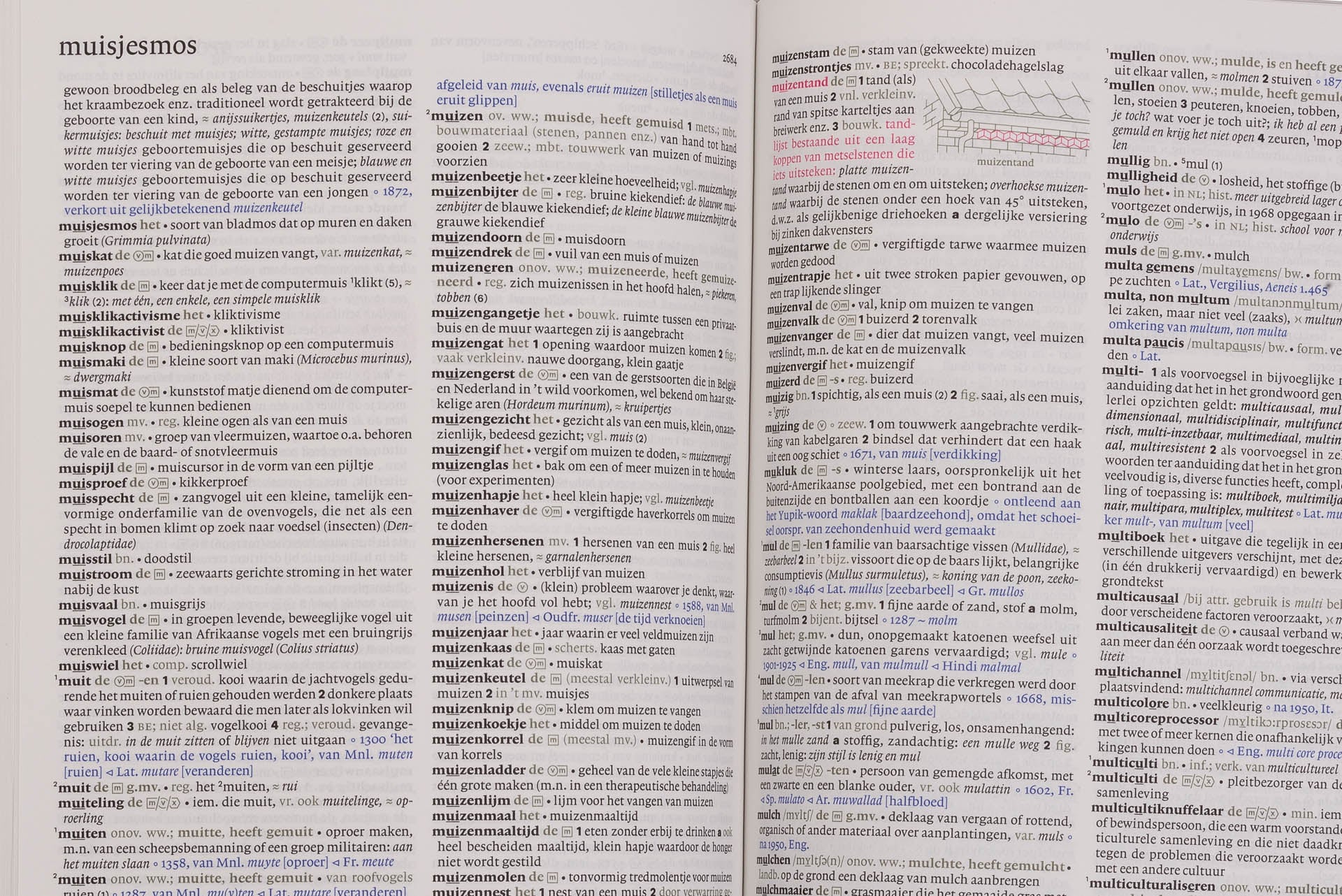 Een opengeslagen woordenboek is te zien. Op de pagina's staan allemaal woorden met de letter 'm', het begint met de definitie van het woord 'muisjesmos' en eindigt bij het woord 'multiculturaliseren' 